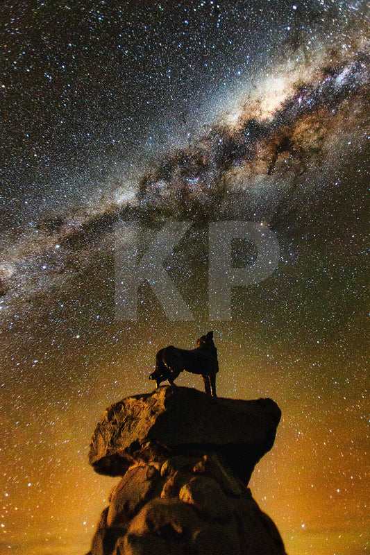 Astrophotograhy shot of the dog statue in Lake Tekapo New Zealand