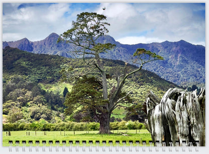 2026 Calendar - Te Aroha