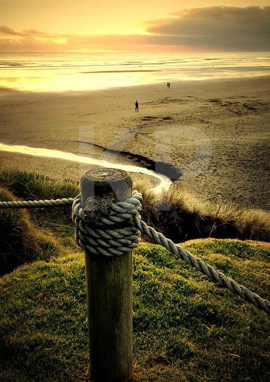 Muriwai Beach in West Auckland at Sunset